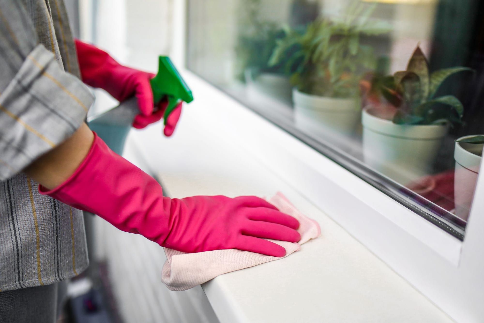 Hände in pinken Handschuhen reinigen mit Sprühflasche und Tuch eine helle Fensterbank